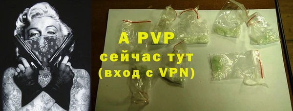 прущие грибы Богородицк