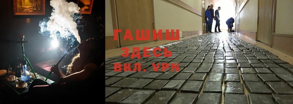 прущие грибы Богородицк