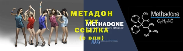 прущие грибы Богородицк