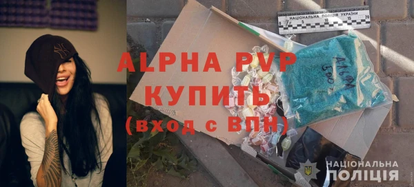 прущие грибы Богородицк
