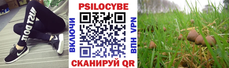 Псилоцибиновые грибы Psilocybine cubensis  гидра ССЫЛКА  Белинский 